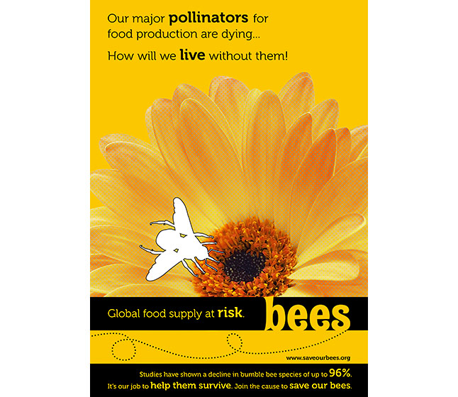 Bee on flower poster