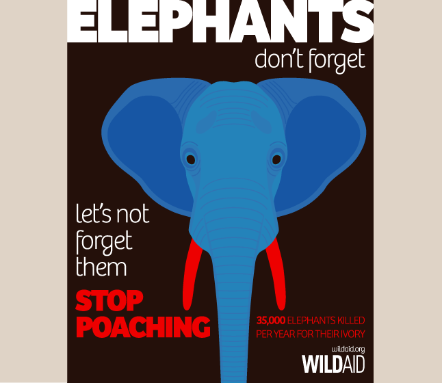 Wildaid poster showing an elephant