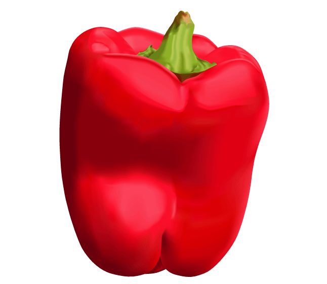 illustration of a Red Bell Pepper